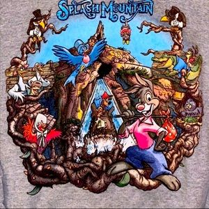 Disney Splash Mountain rare sweatshirt small